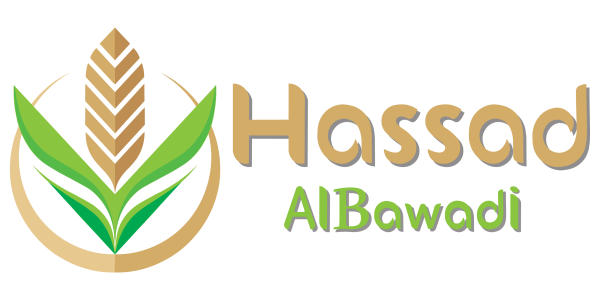 logo-16